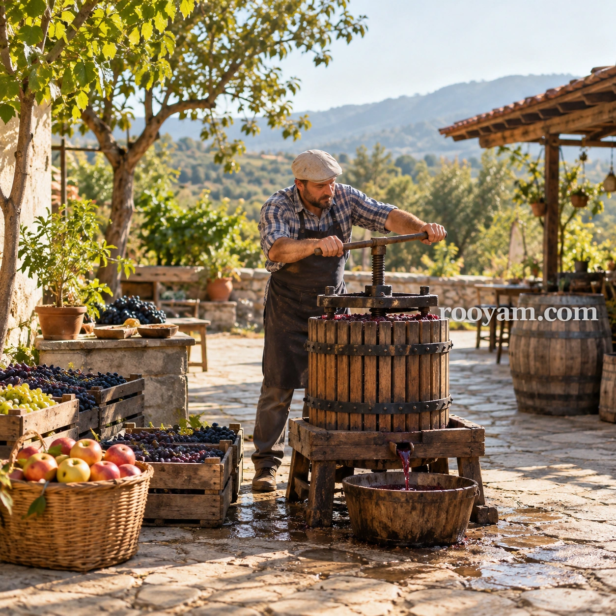 Rüyada Masaracı (meyve veya hububatı sıkıp suyunu çıkaran): bir adam avluda ahşap üzüm presini kullanarak üzüm suyunu bir kaba dolduruyor.